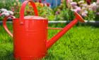 Ghid de cumparare produse intretinere plante