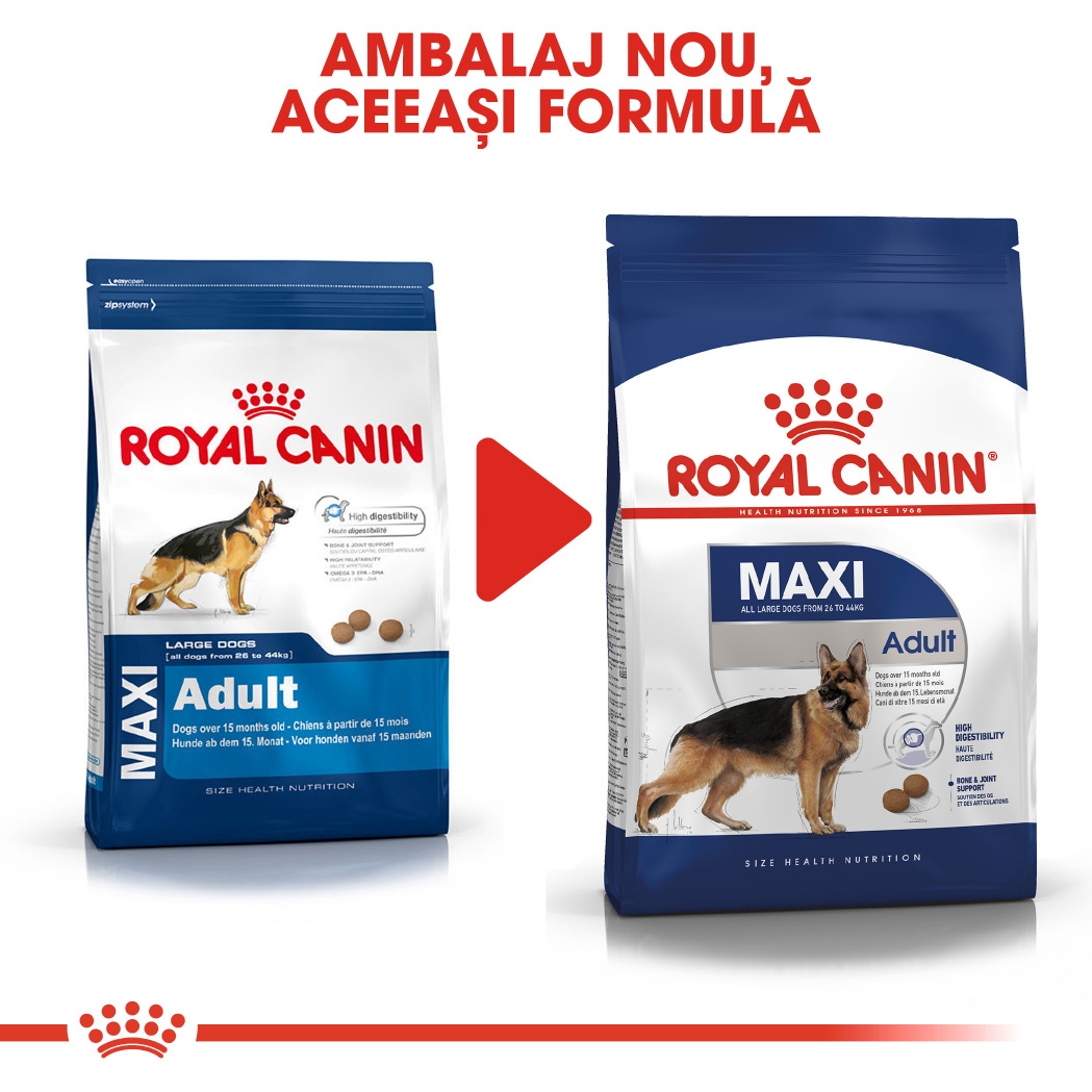 Hrana uscata caine adult Royal Canin Maxi Adult, 15 kg