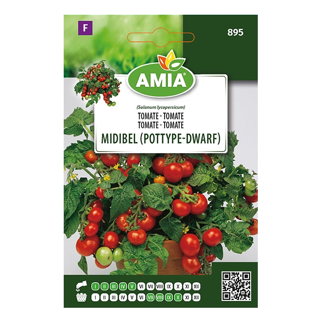 Seminte legume Amia, tomate Midibel Pottype Dwarf
