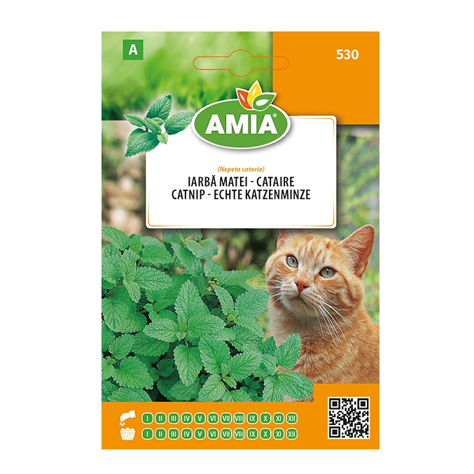 Seminte legume Amia A, iarba pentru pisica