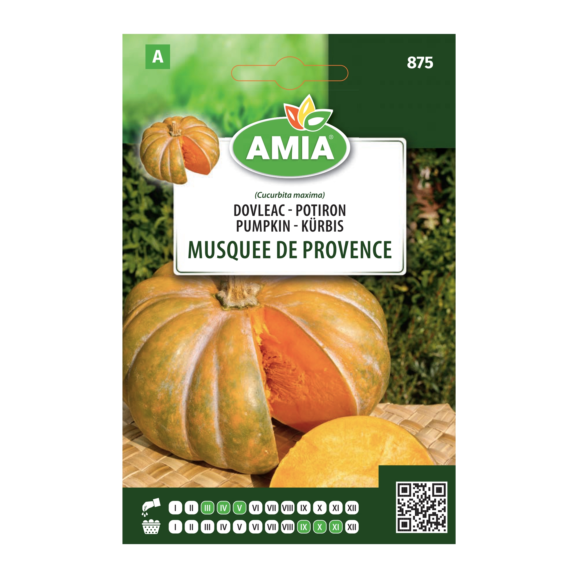 Seminte legume Amia A, dovleac placintar Musquee De Provence
