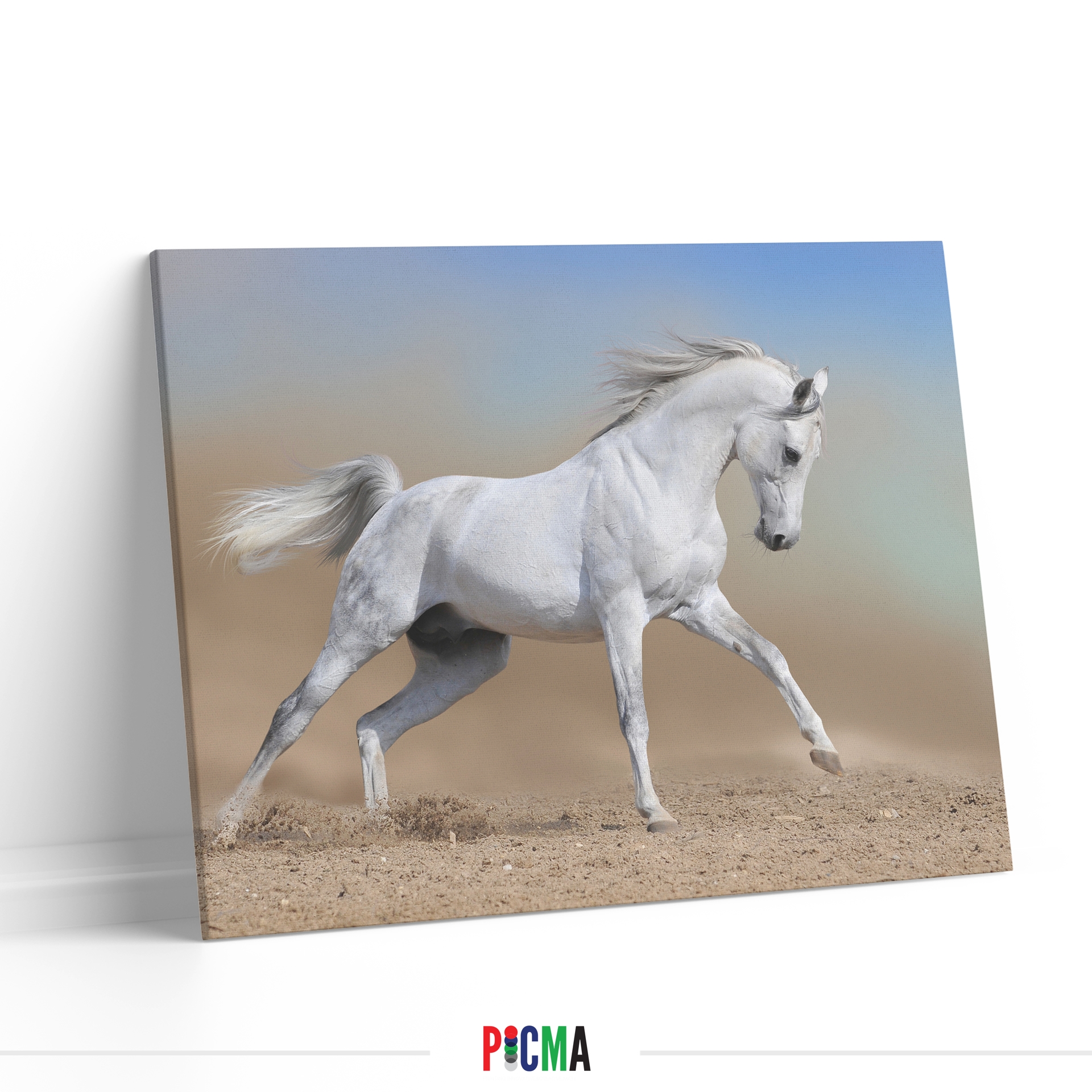 Tablou canvas luminos Cal alb, Picma, dualview, panza + sasiu lemn, 40 x 60 cm