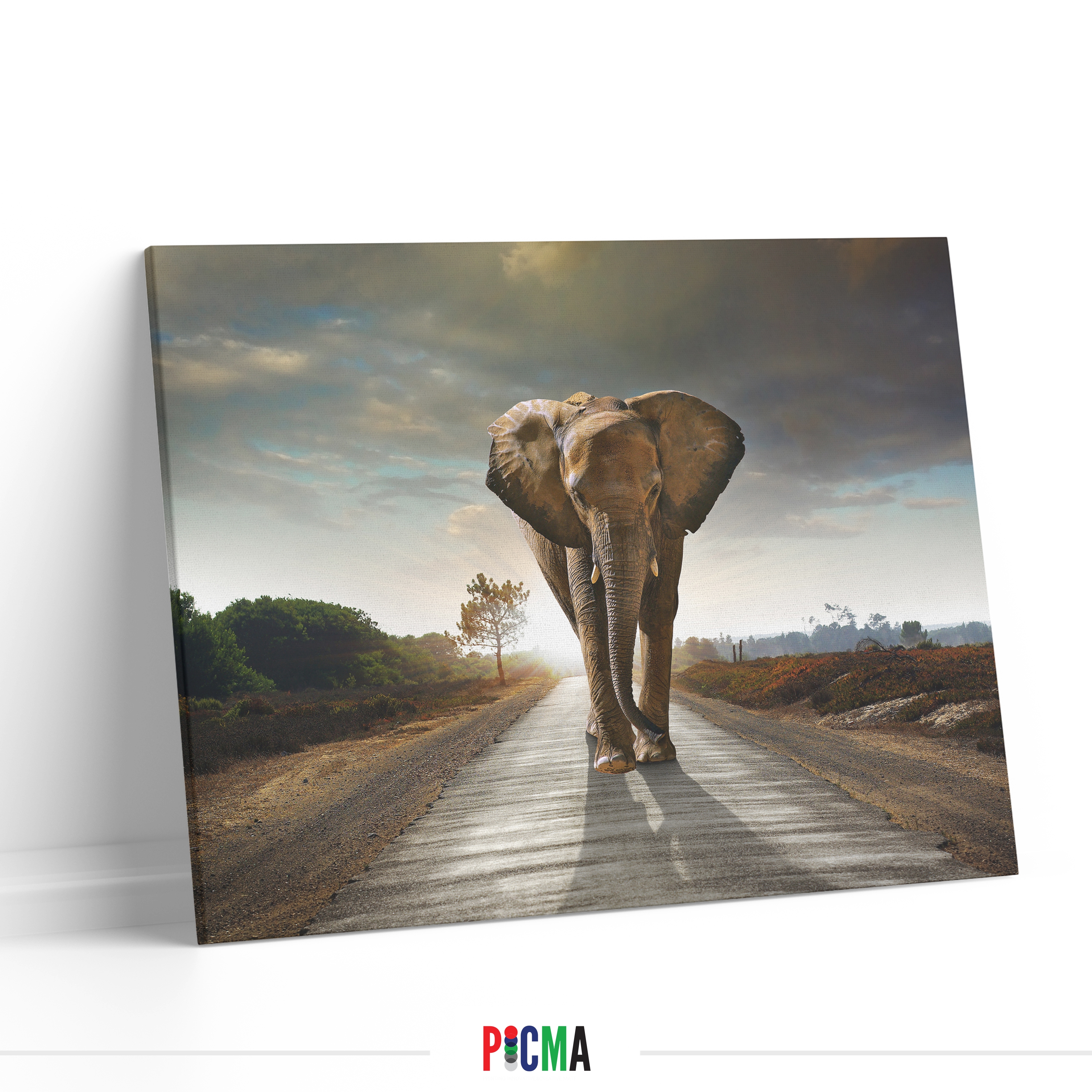 Tablou canvas Elefant pe drum, Picma, standard, panza + sasiu lemn, 40 x 60 cm