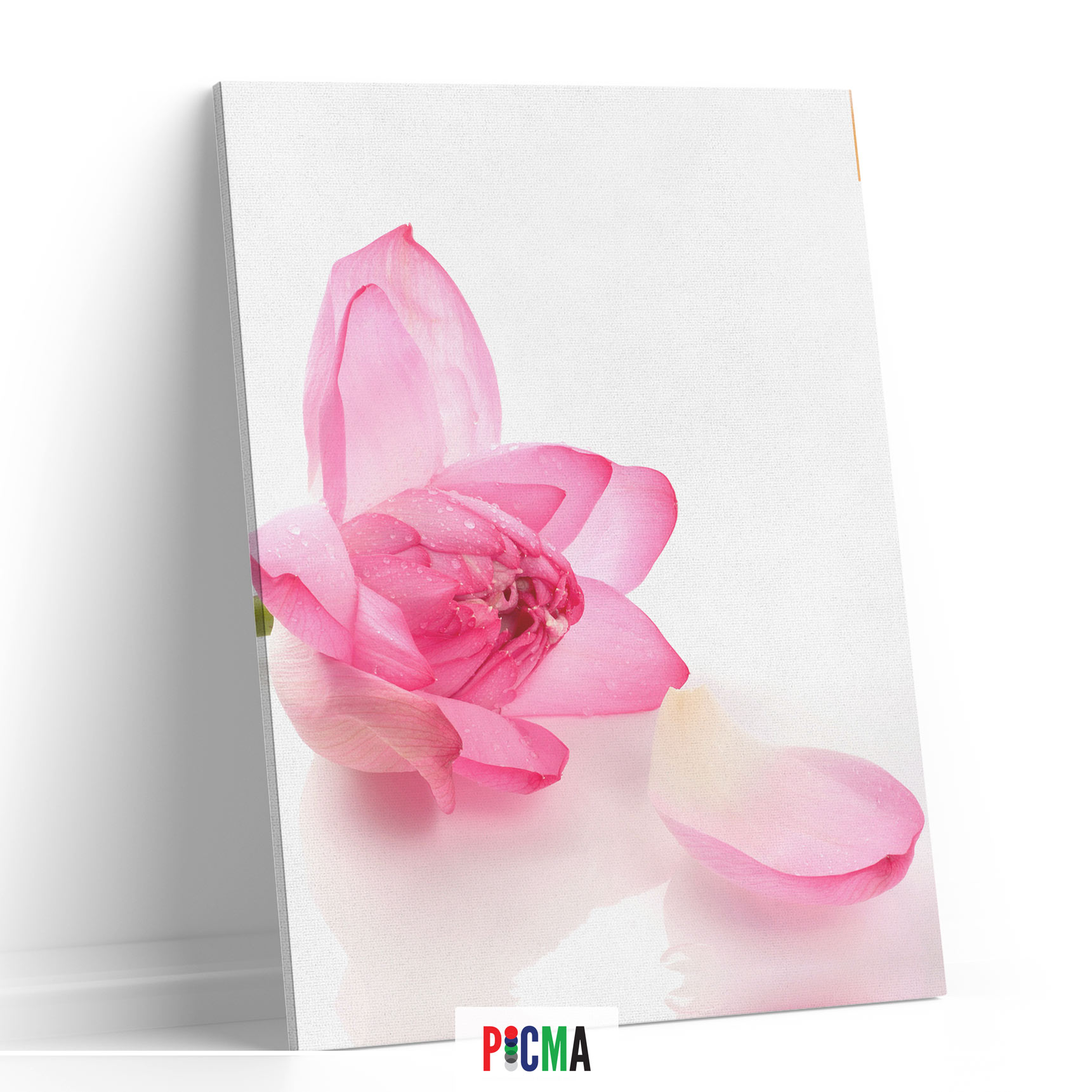 Tablou canvas luminos Floare roz, Picma, dualview, panza + sasiu lemn, 60 x 90 cm