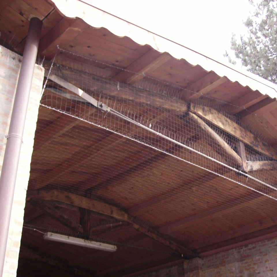 Banda anti-pasari cu suport, din inox AISI 302, 1 metru, 80 tepi din inox