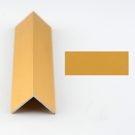 Profil aluminiu pentru treapta, 2020L auriu, 20 mm, 1 m