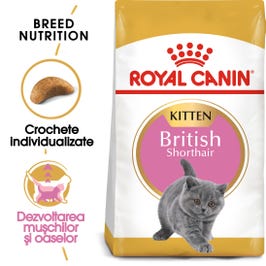 Hrana uscata pisica junior Royal Canin British Shorthair Kitten, 2 kg
