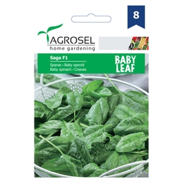 Seminte legume Agrosel, spanac Saga