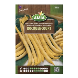 Seminte legume Amia, fasole galbena, pitica, Rocquencourt
