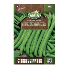 Seminte legume Amia, fasole Blue Lake A Seme Bianco