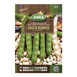 Seminte legume Amia, fasole Cocco Bianco