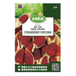 Seminte legume Amia, porumb Strawberry