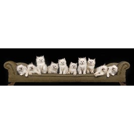 Panou decorativ bucatarie Splashback, compozit, luminescent, SPB 103, pisici, 2000 x 750 x 3 mm