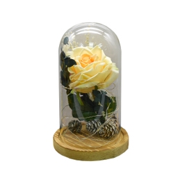 Flori in cupola de sticla D4004, textil, portocaliu, cu lumina LED, 19 cm