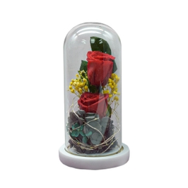 Flori in cupola de sticla D4008, planta naturala stabilizata, rosu, cu lumina LED, 20 cm