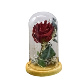 Flori in cupola de sticla D4029, textil, rosu, cu lumina LED, 19 cm