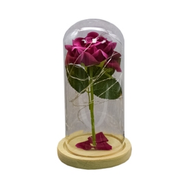 Flori in cupola de sticla D4032, textil, roz, cu lumina LED, 20 cm
