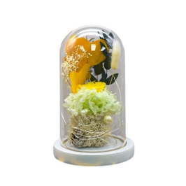 Flori in cupola de sticla D4039, planta naturala stabilizata, portocaliu, cu lumina LED, 19 cm
