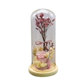 Flori in cupola de sticla D4048, planta naturala stabilizata, roz, cu lumina LED, 25 cm