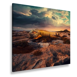 Tablou canvas The Lazy Lizard, SimplyArt, standard, panza + sasiu lemn de brad, 120 x 120 cm
