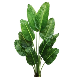 Planta artificiala fara ghiveci D4296, plastic + lemn, verde, 160 cm