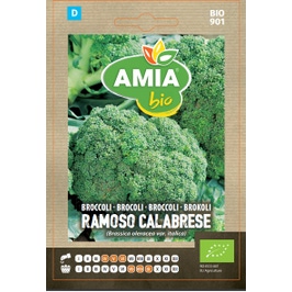 Seminte legume bio Amia, brocoli Ramoso Calabrese