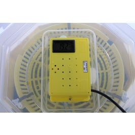 Incubator electric pentru oua, Cleo 5DTH, cu dispozitiv intoarcere automat, termohigrometru