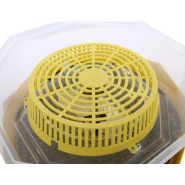 Incubator electric pentru oua, Cleo 5DTH, cu dispozitiv intoarcere automat, termohigrometru