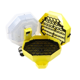 Incubator electric pentru oua, Cleo 5x2 DTH, cu dispozitiv intoarcere, manual, termohigrometru