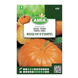 Seminte legume Amia B, dovleac Rouge Vif D'Etampes