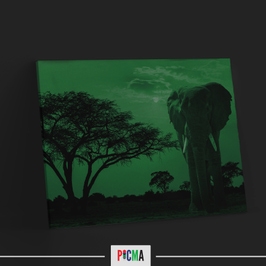Tablou canvas luminos Safari elefant, Picma, dualview, panza + sasiu lemn, 80 x 120 cm
