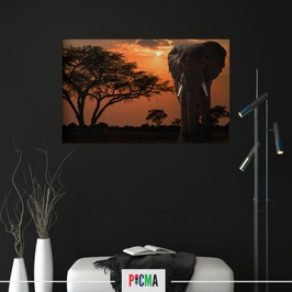 Tablou canvas Safari elefant, Picma, standard, panza + sasiu lemn, 60 x 90 cm