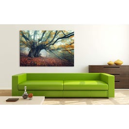 Tablou canvas luminos Copac antic, Picma, dualview, panza + sasiu lemn, 60 x 90 cm