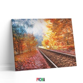 Tablou canvas luminos Cale ferata, Picma, dualview, panza + sasiu lemn, 40 x 60 cm