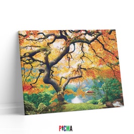 Tablou canvas luminos Artar, Picma, dualview, panza + sasiu lemn, 60 x 90 cm