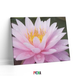 Tablou canvas luminos Nufar roz, Picma, dualview, panza + sasiu lemn, 80 x 120 cm