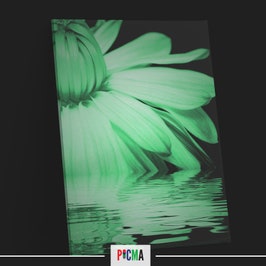 Tablou canvas luminos Reflexia florii pe lac, Picma, dualview, panza + sasiu lemn, 40 x 60 cm