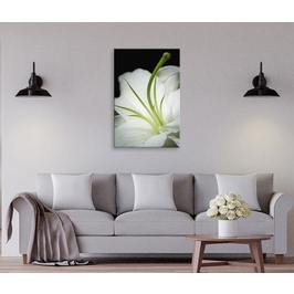 Tablou canvas Floare alba 2, Picma, standard, panza + sasiu lemn, 40 x 60 cm
