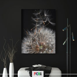 Tablou canvas Papadie, Picma, standard, panza + sasiu lemn, 40 x 60 cm