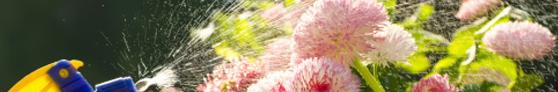 Ghid de cumparare produse intretinere plante